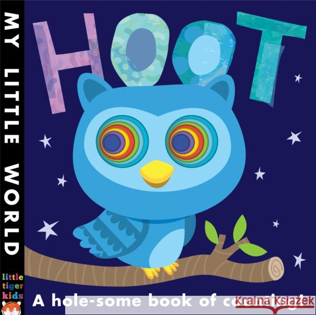 Hoot: A hole-some book of counting Jonathan Litton 9781848958135