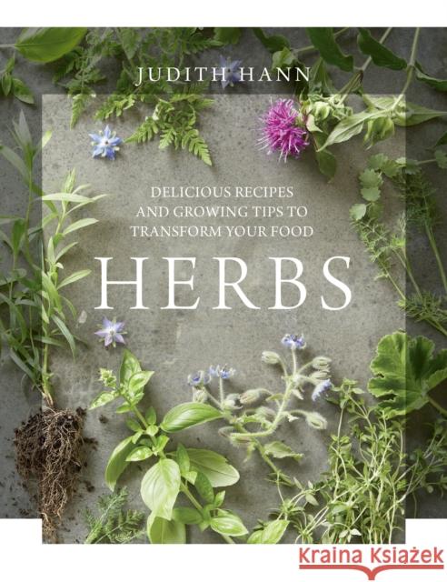 Herbs Judith Hann 9781848992825 Nourish