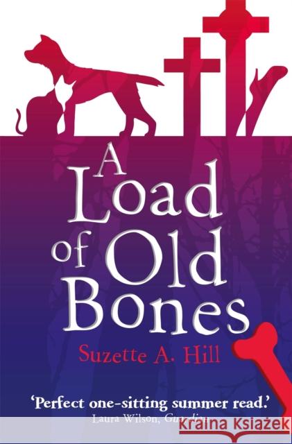 A Load of Old Bones Suzette Hill 9781849010962 0