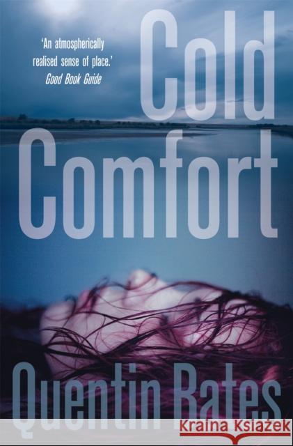 Cold Comfort: A chilling and atmospheric crime thriller full of twists Quentin Bates 9781849013611