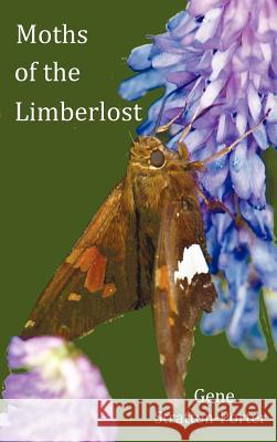 Moths of the Limberlost with Original Photographs (but in BW) Gene Stratton-Porter 9781849022934 Benediction Classics