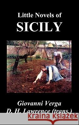 Little Novels of Sicily (Novelle Rusticane) Verga, Giovanni 9781849025058 Benediction Classics