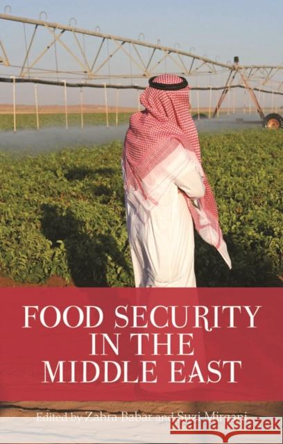 Food Security in the Middle East Zahra Babar 9781849043021