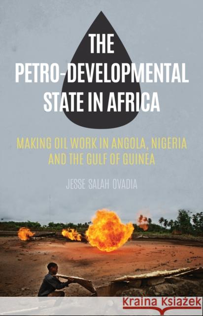 The Petro-Developmental State in Africa: Making Oil Work in Angola, Nigeria and the Gulf of Guinea Jesse Salah Ovadia 9781849044769