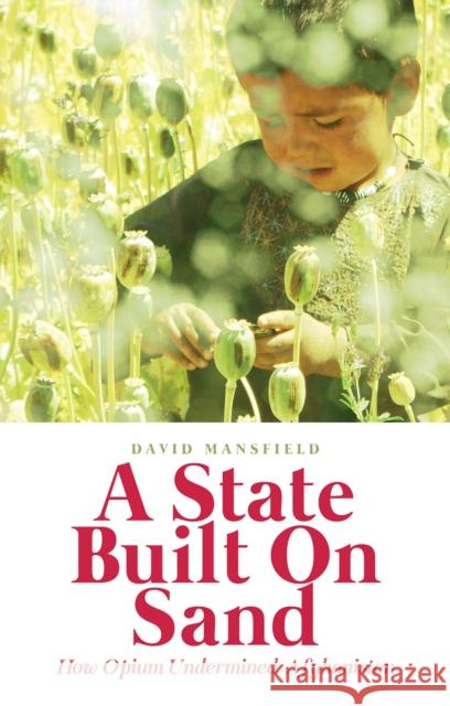 State Built on Sand David Mansfield 9781849045681