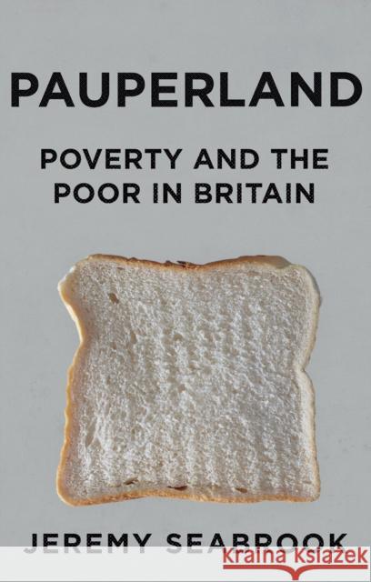 Pauperland: Poverty and the Poor in Britain Jeremy Seabrook 9781849045841