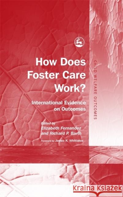 How Does Foster Care Work? : International Evidence on Outcomes Elizabeth Fernandez 9781849058124