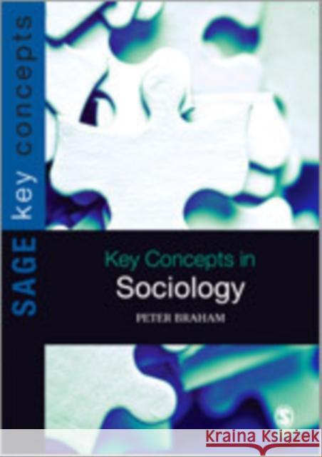 Key Concepts in Sociology Peter H. Braham   9781849203043 SAGE Publications Ltd