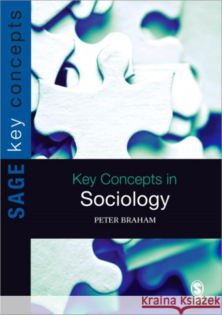 Key Concepts in Sociology Peter H Braham 9781849203050 0