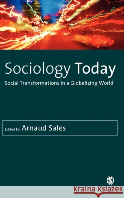 Sociology Today: Social Transformations in a Globalizing World Sales, Arnaud 9781849204699