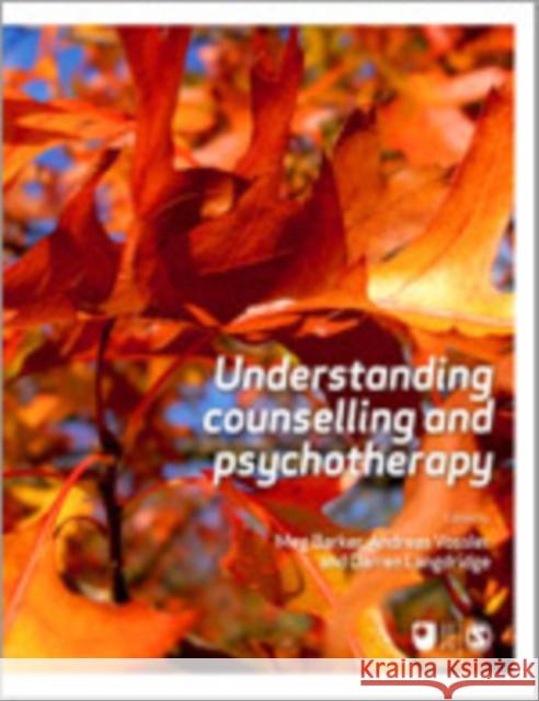 Understanding Counselling and Psychotherapy Darren Langdridge Meg Barker Andreas Vossler 9781849204750 Sage Publications (CA)