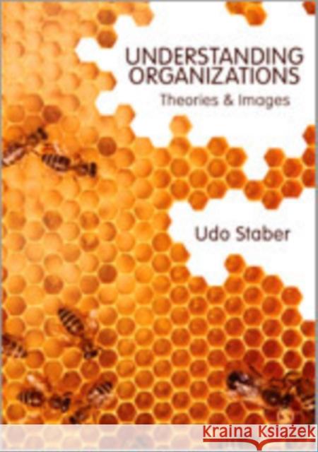 Understanding Organizations: Theories and Images Staber, Udo 9781849207409 Sage Publications (CA)