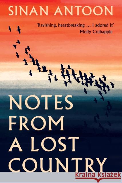Notes from a Lost Country Sinan Antoon 9781849251235