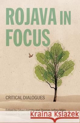 Lessons from Rojava for the Paradigm of Social Ecology  9781849355728 AK Press