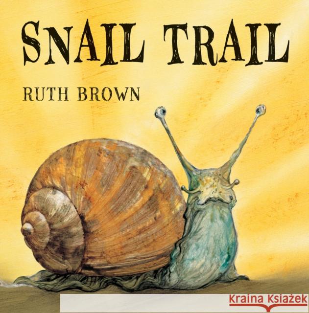 Snail Trail   9781849392525 Andersen Press Ltd