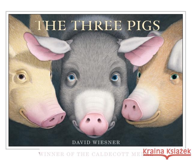 The Three Pigs David Wiesner 9781849394055