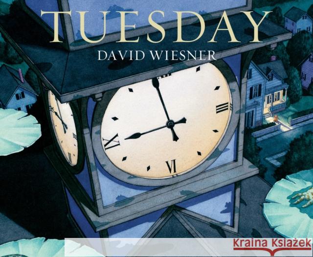 Tuesday: A Caldecott Award Winner David Wiesner 9781849394475 Andersen Press Ltd