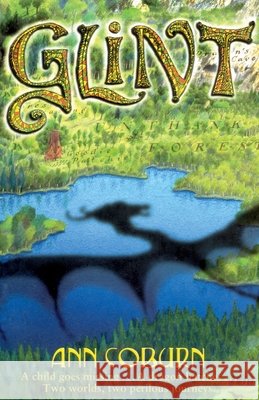 Glint  Coburn, Ann 9781849411226