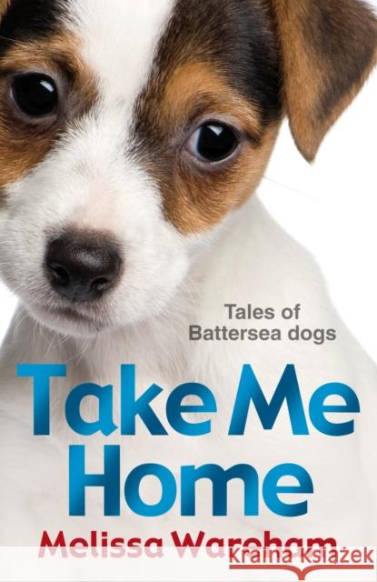 Take Me Home: Tales of Battersea Dogs Melissa Wareham 9781849413923 0