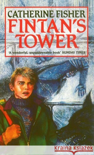 Fintan's Tower Catherine Fisher 9781849416160