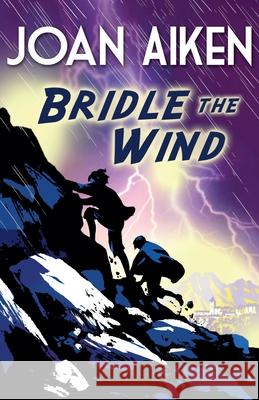 Bridle The Wind Joan Aiken 9781849418287