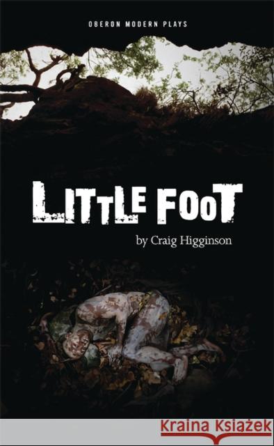 Little Foot Craig Higginson 9781849434003 0