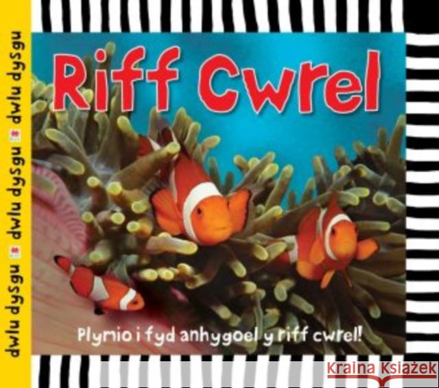 Cyfres Dwlu Dysgu: Riff Cwrel Sarah Powell 9781849672009