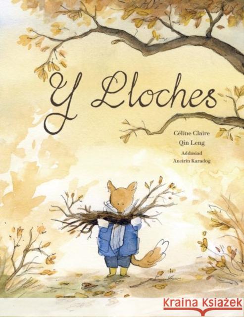 Y Lloches Celine Claire 9781849674904