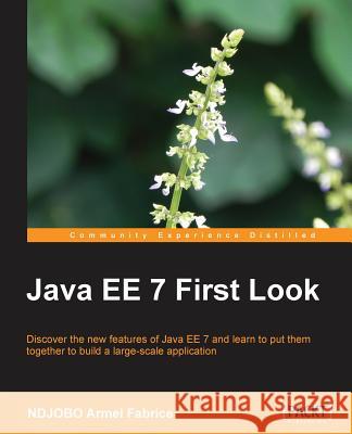 Java Ee 7 First Look Armel Fabrice, Ndjobo 9781849699235 Packt Publishing