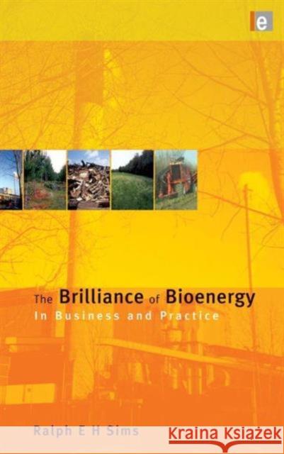 The Brilliance of Bioenergy: In Business and in Practice Sims, Ralph E. H. 9781849710695