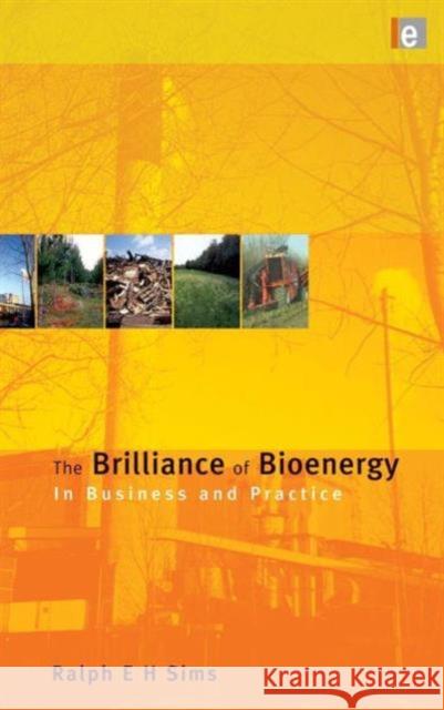 The Brilliance of Bioenergy: In Business and in Practice Sims, Ralph E. H. 9781849710695 EARTHSCAN