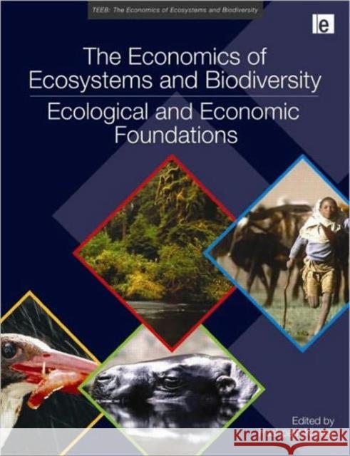 The Economics of Ecosystems and Biodiversity: Ecological and Economic Foundations Pushpam Kumar 9781849712125 0