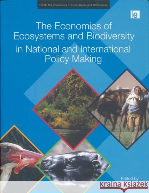 The Economics of Ecosystems and Biodiversity in National and International Policy Making  United Nations Environment Programme 9781849712507