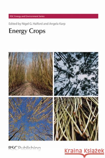 Energy Crops Anthony Bridgewater 9781849730327