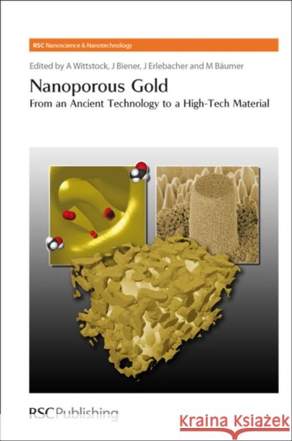 Nanoporous Gold: From an Ancient Technology to a High-Tech Material Wittstock, Arne 9781849733748