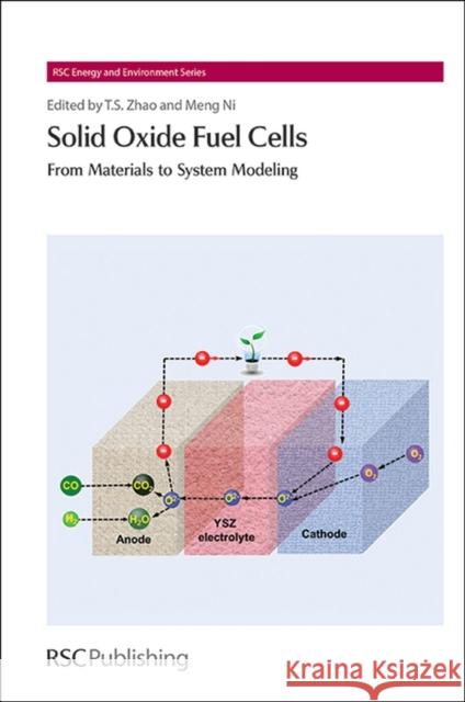 Solid Oxide Fuel Cells: From Materials to System Modeling  9781849736541 Royal Society of Chemistry