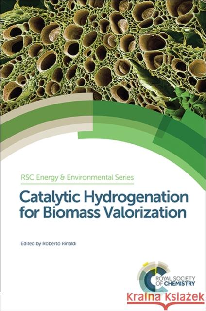 Catalytic Hydrogenation for Biomass Valorization Roberto Rinaldi 9781849738019 Royal Society of Chemistry