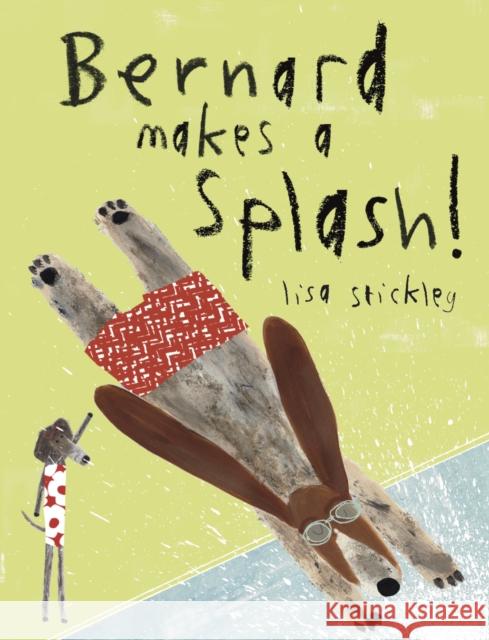 Bernard Makes A Splash!  9781849766609 Tate Publishing