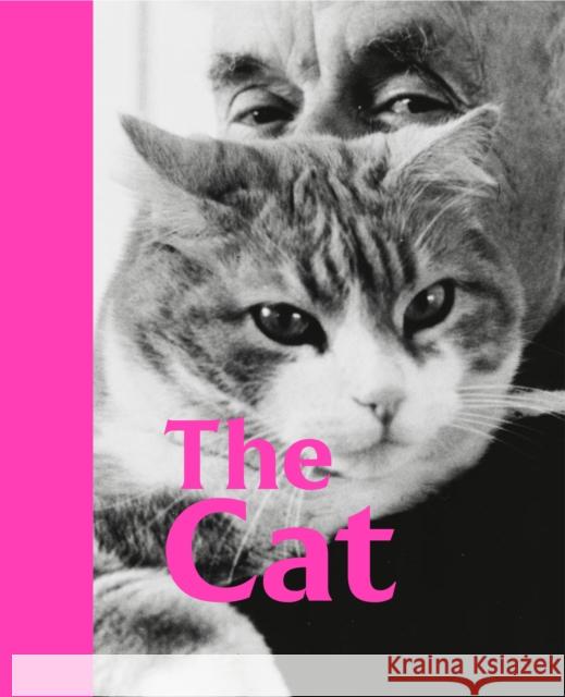 The Cat Emilia Will 9781849767385 Tate Publishing