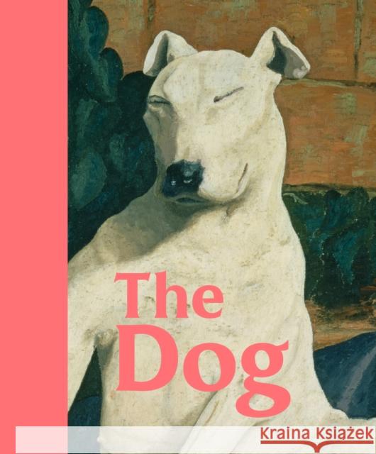 The Dog Emilia Will 9781849767392 Tate Publishing