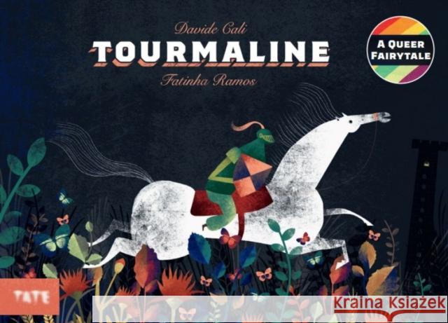 Tourmaline: A Queer Fairytale Davide Cali 9781849768702