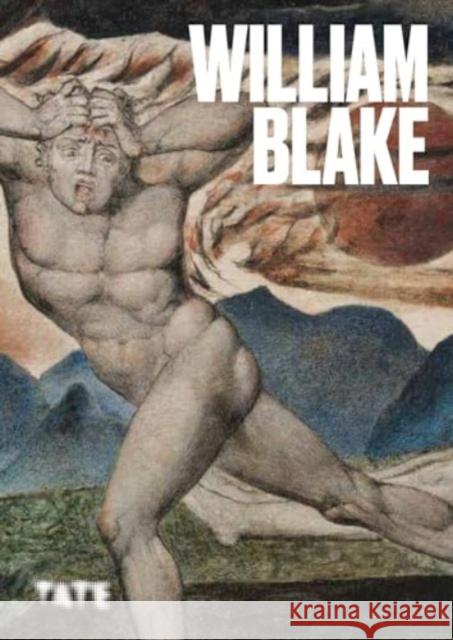 Artists Series: William Blake Caroline Anjali Ritchie 9781849769495 Tate Publishing