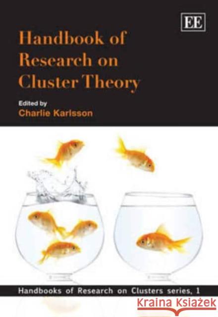 Handbook of Research on Cluster Theory Charlie Karlsson   9781849800860