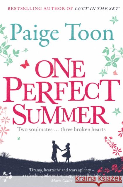 One Perfect Summer Paige Toon 9781849831284