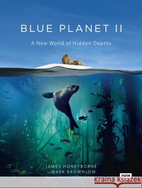 Blue Planet II Mark Brownlow 9781849909679 BBC Books