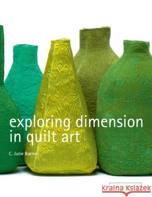 Exploring Dimension in Quilt Art C June Barnes 9781849940252 Batsford