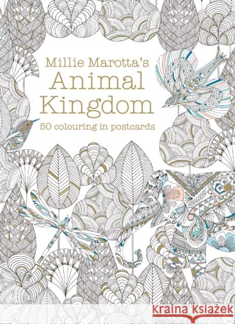 Millie Marotta's Animal Kingdom Postcard Box: 50 beautiful cards for colouring in Millie Marotta 9781849942904 Batsford