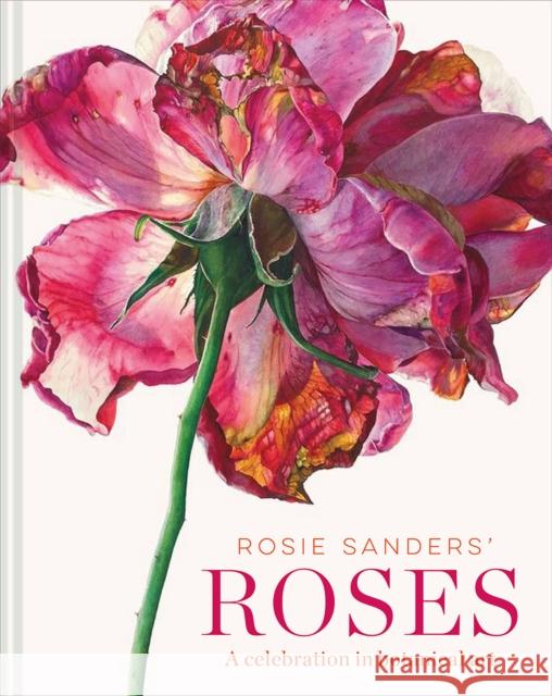Rosie Sanders' Roses: A celebration in botanical art Rosie Sanders 9781849945523 Batsford