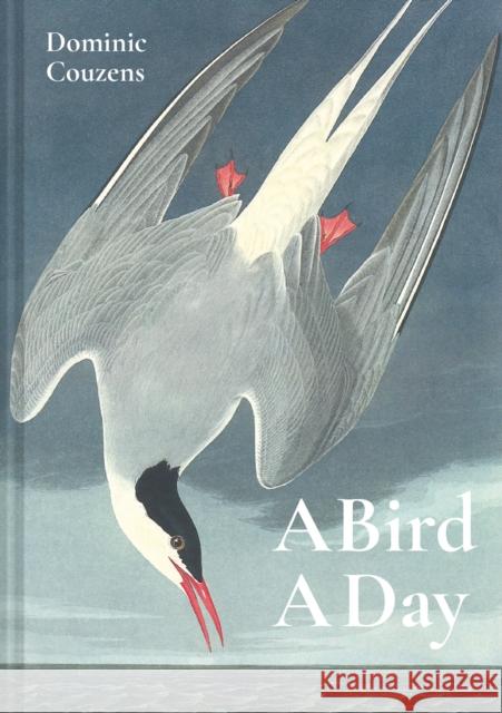 A Bird A Day Dominic Couzens 9781849945868