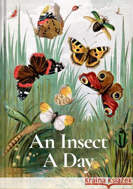 An Insect A Day: Bees, bugs, and pollinators for every day of the year Gail Ashton 9781849947947